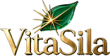 VitaSila — изумрудный лист с золотой искрой и золотая надпись VitaSila, прозрачный фон